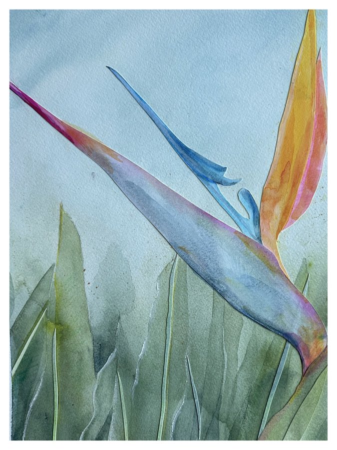 Bird Of Paradise 1, watercolor artwork