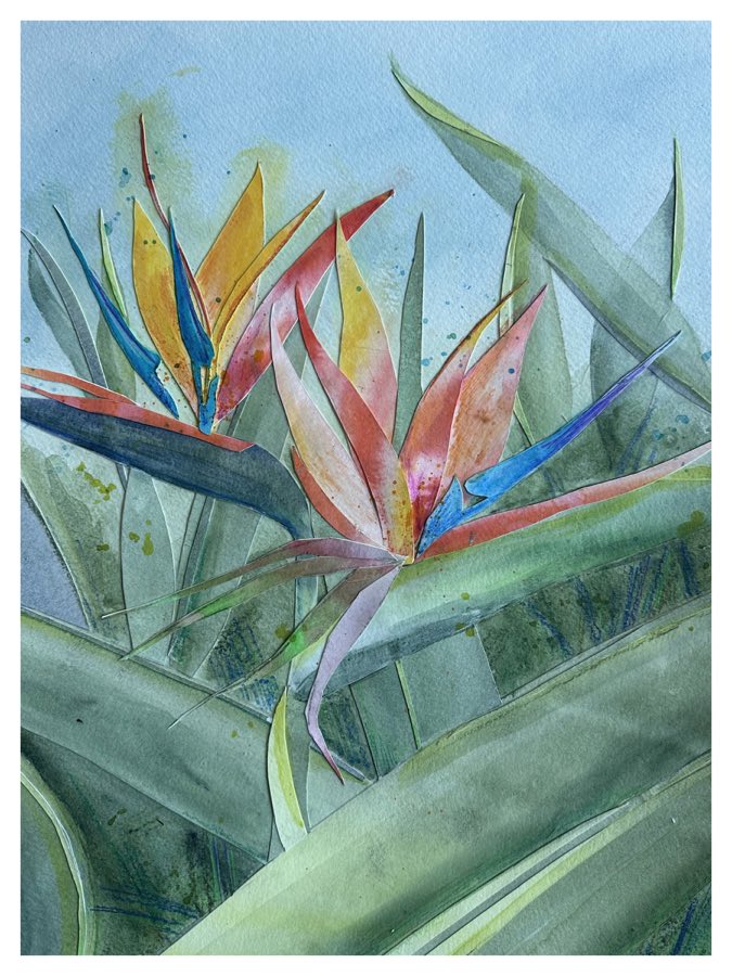 Bird Of Paradise 3, watercolor artwork