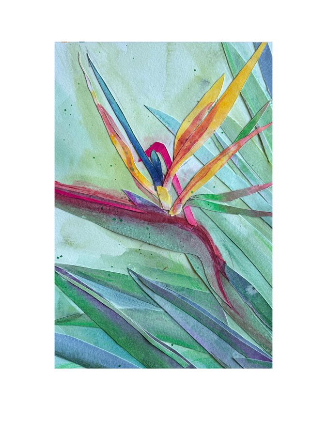 Bird Of Paradise 5, watercolor artwork