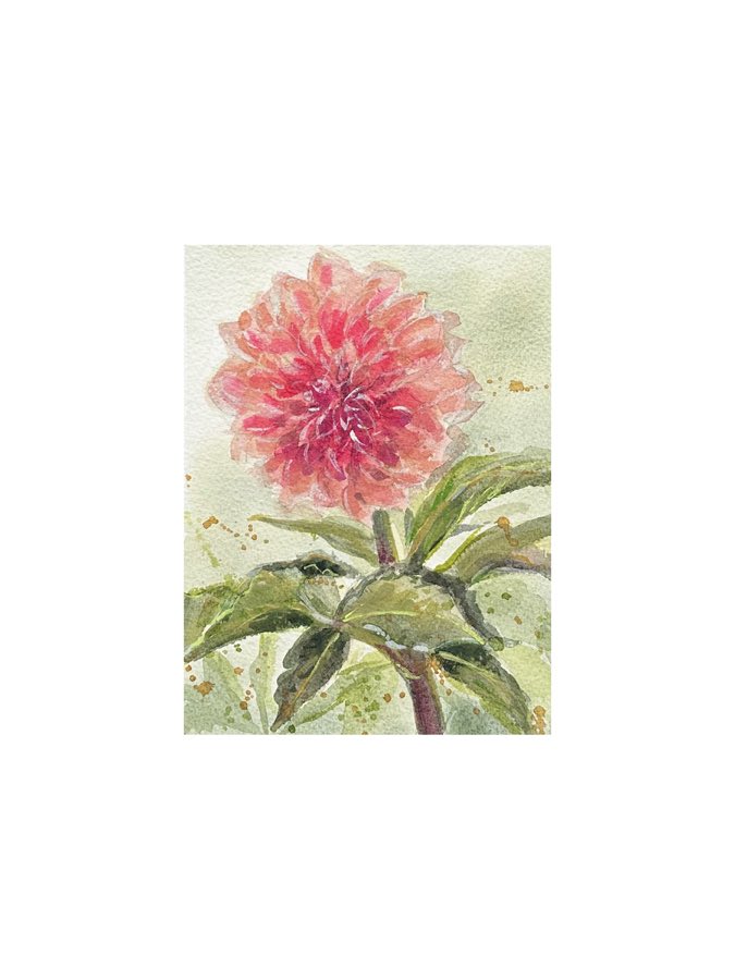 City Dahlia 2, watercolor artwork