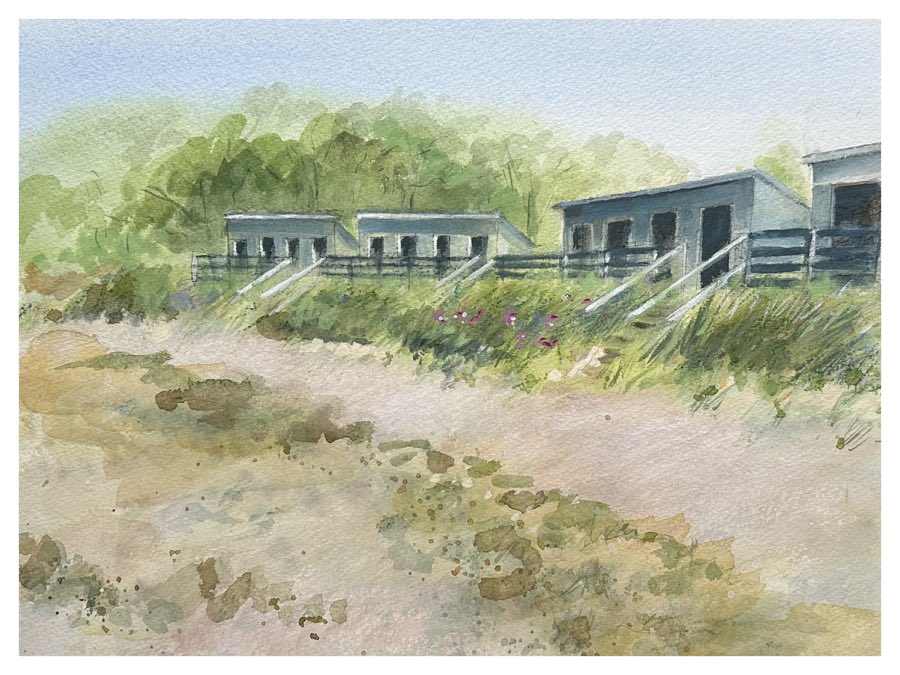 Nobska Beach Cabanas, watercolor artwork